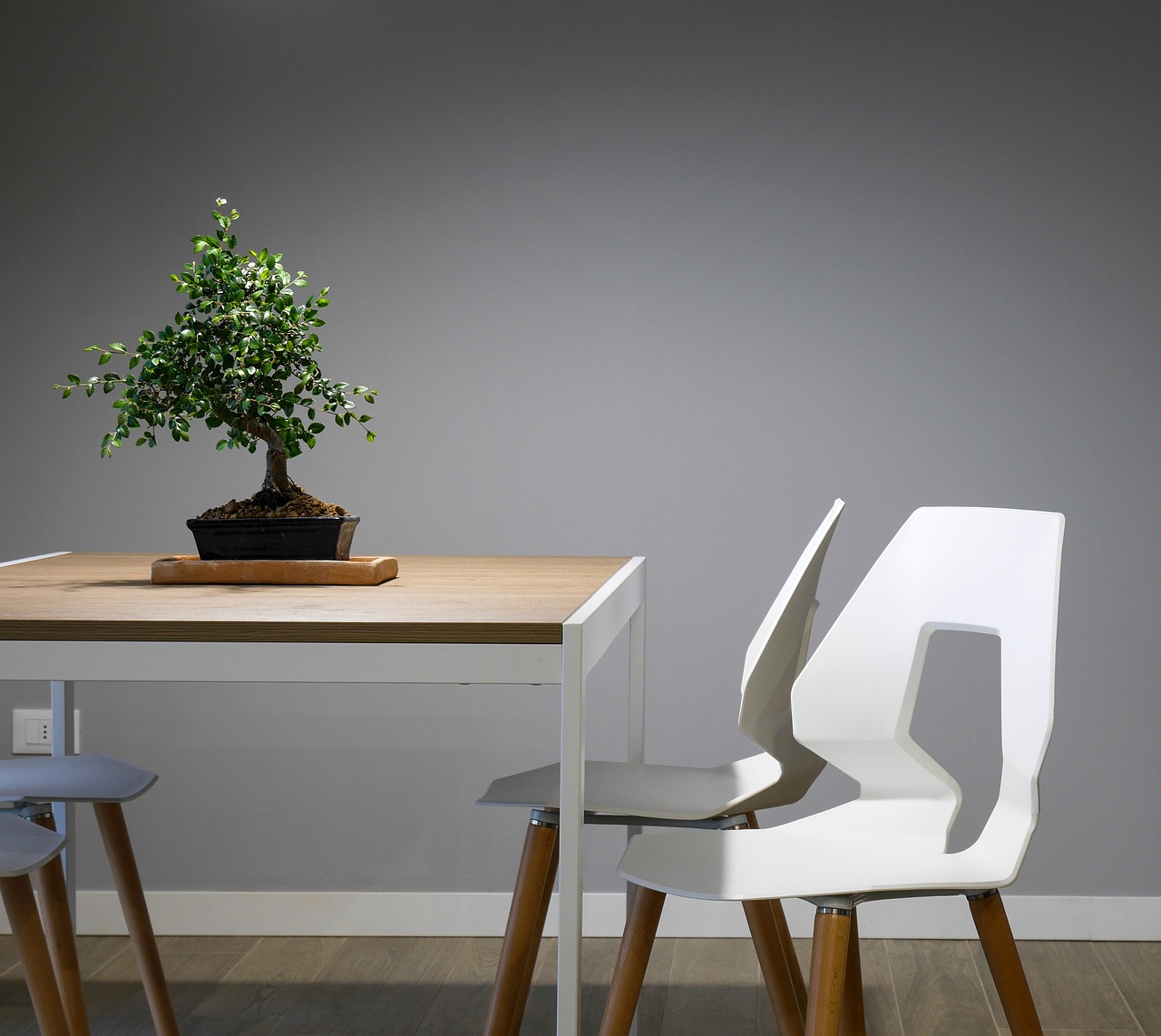 Interior view of the best furniture shops in kochi featuring modern sofas, wooden tables, and décor items